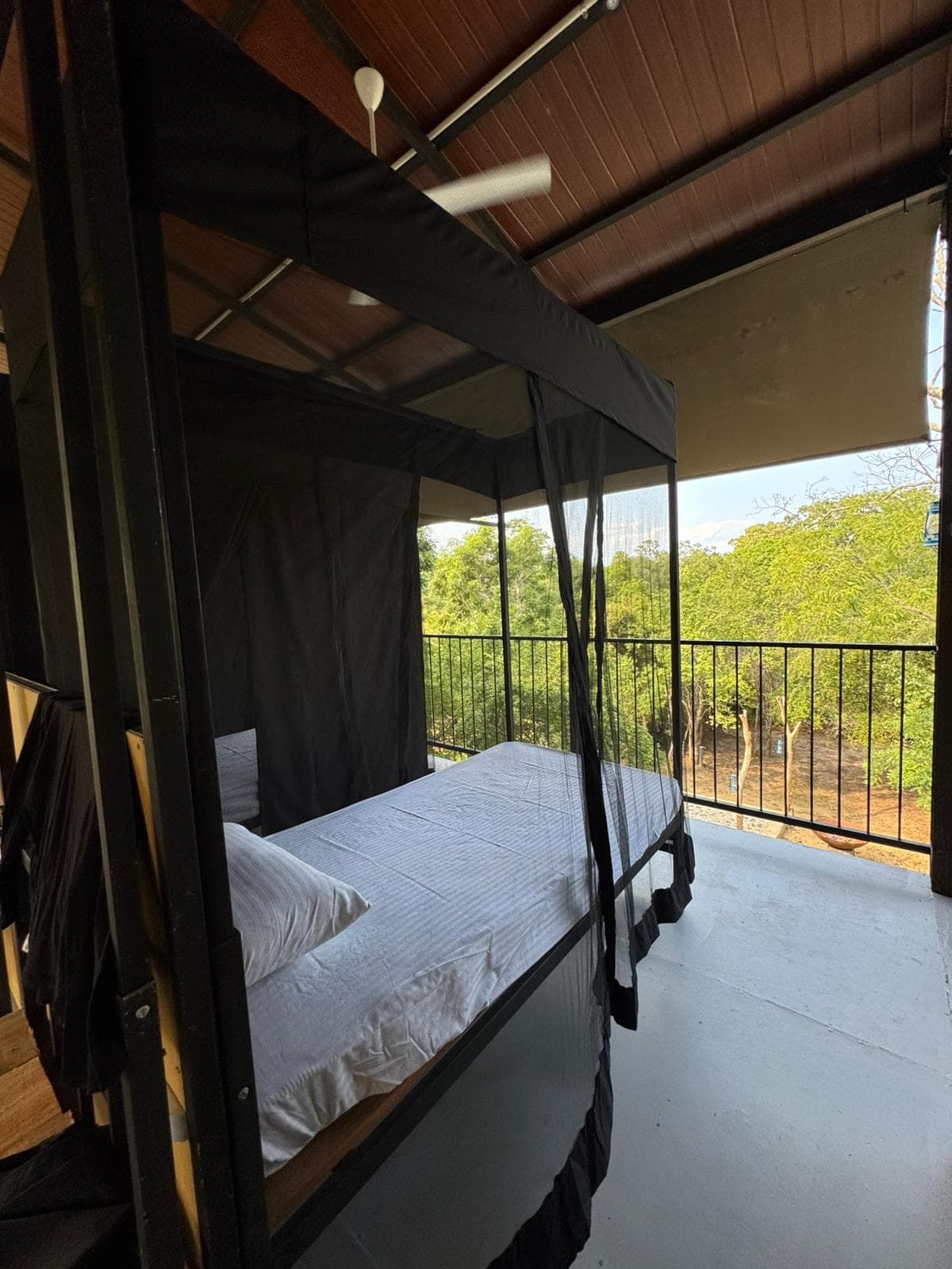 A single bed under a black mosquito net on an open elevated platform, looking out through a rail over scrub and low trees