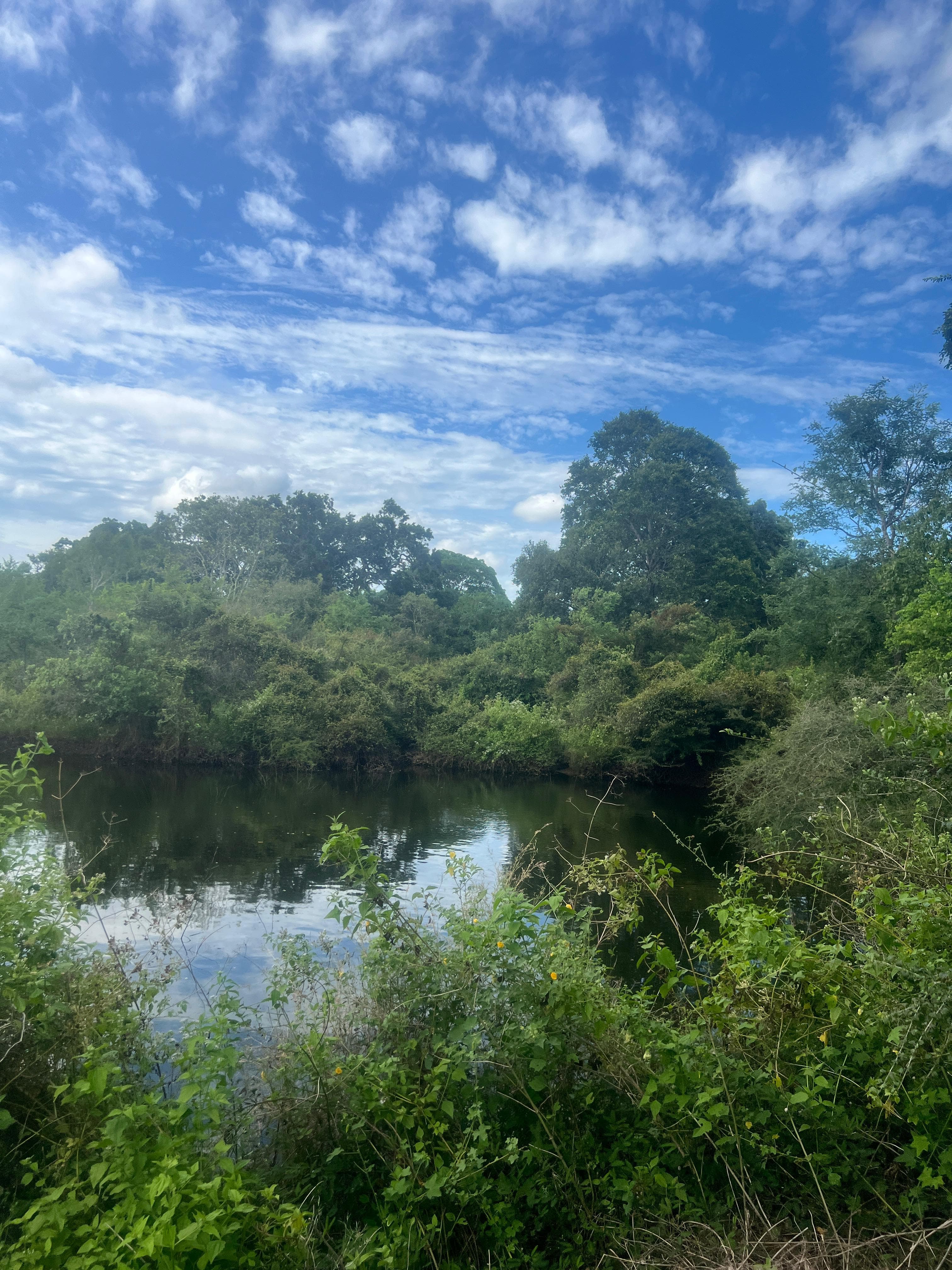 The waterhole under a tall sky of broken cloud, ringed by trees