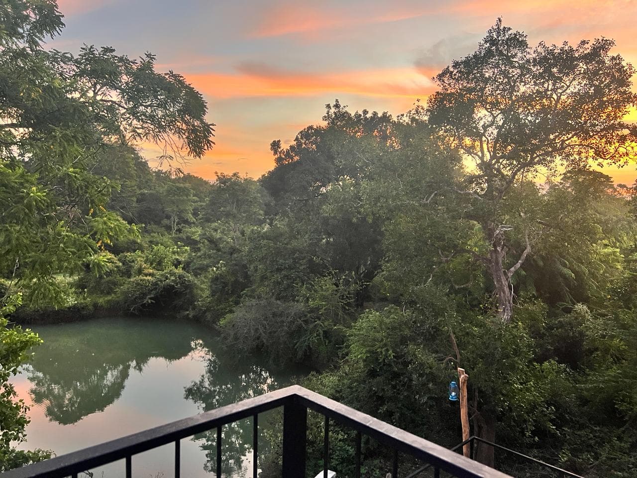 Sunset over the waterhole seen from the deck, the sky turning orange above the treeline