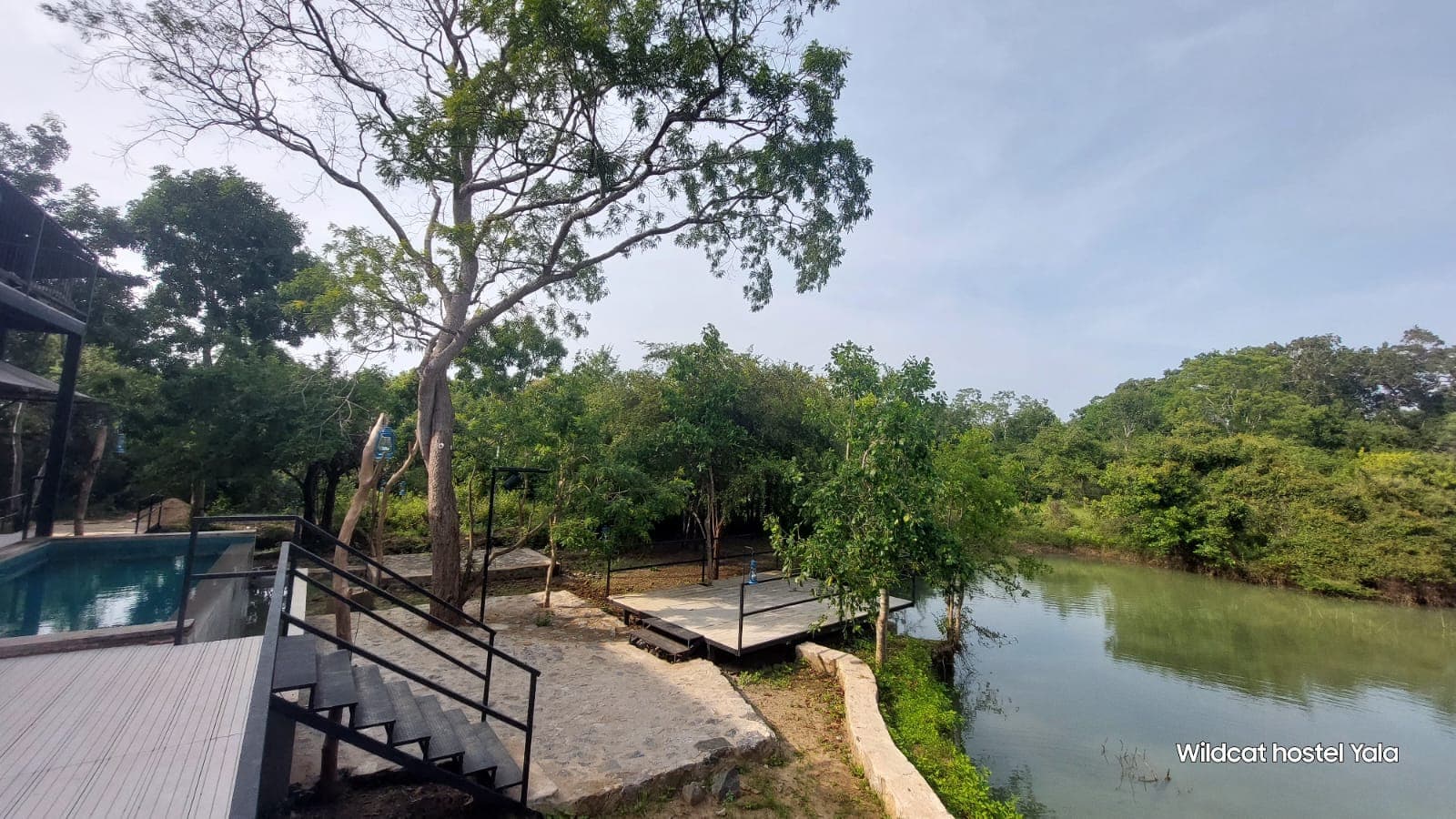 The pool and its deck beside the waterhole, with a large tree between them
