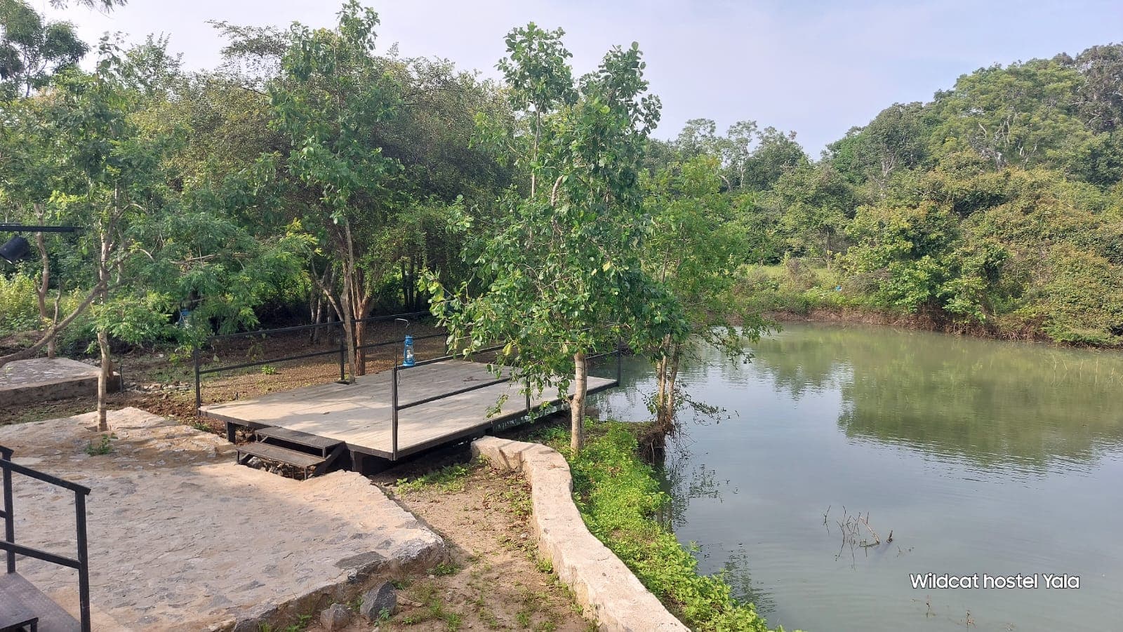 A wide view across the waterhole, with the timber jetty on the near bank