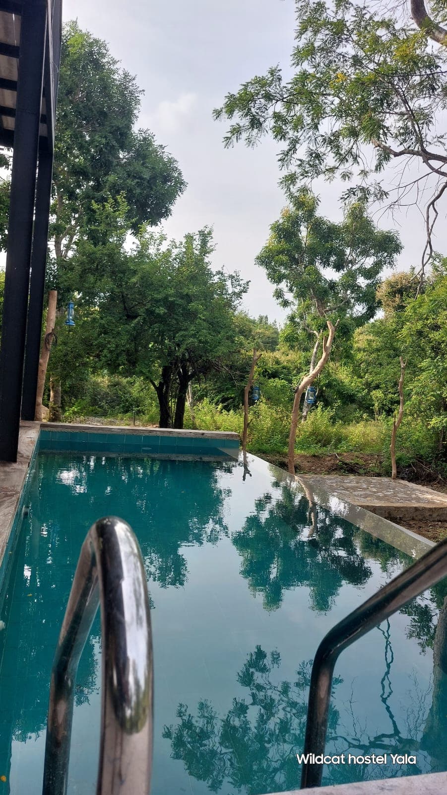 The pool in daylight, teal water with a steel ladder at one end