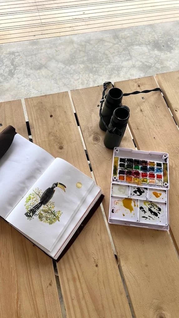 An open bird identification book and a pair of binoculars on the timber deck