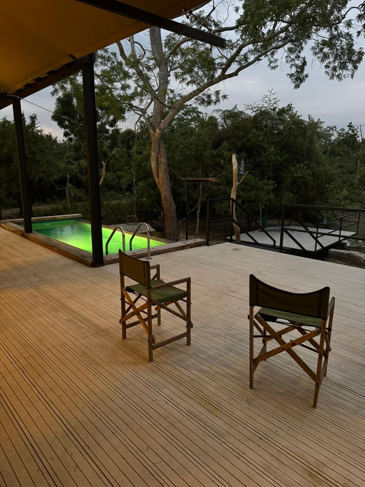 Two directors chairs on the deck, with the pool and the treeline behind them