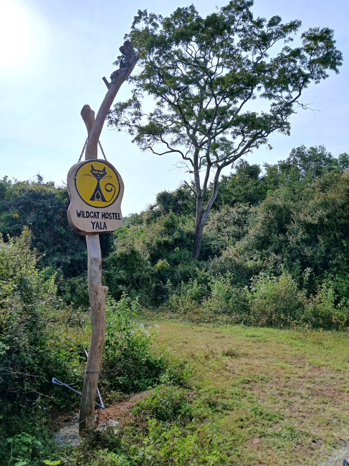 The Wildcat Hostel signboard at the roadside, with scrub and trees behind it